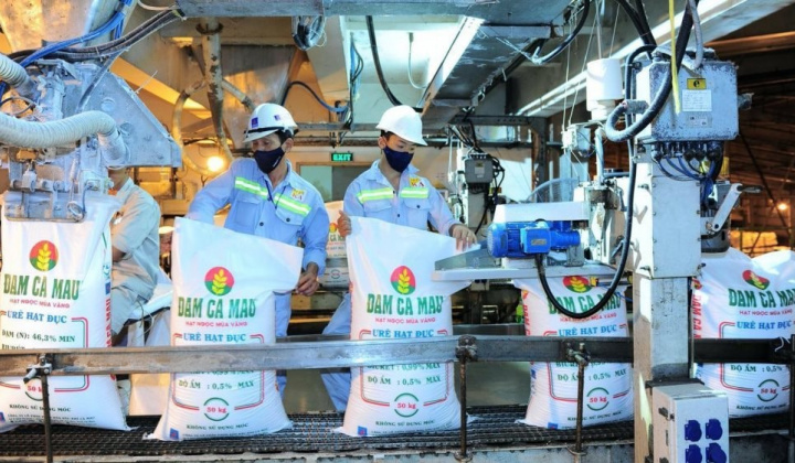 Giá ure kỳ vọng tiếp tục tăng, lãi ròng năm nay của Đạm Cà Mau (DCM) dự báo tăng 36%