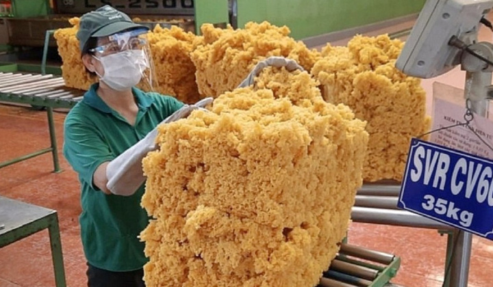 Cao su Phước Hoà (PHR): Lãi nửa đầu năm tăng mạnh, chuẩn bị chia cổ tức năm 2024