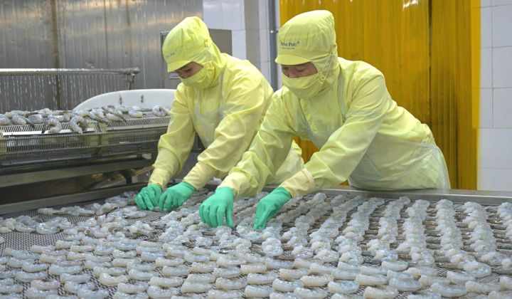 Tập trung làm hàng giá trị cao, Thủy sản Minh Phú (MPC) báo lãi cao nhất 10 quý
