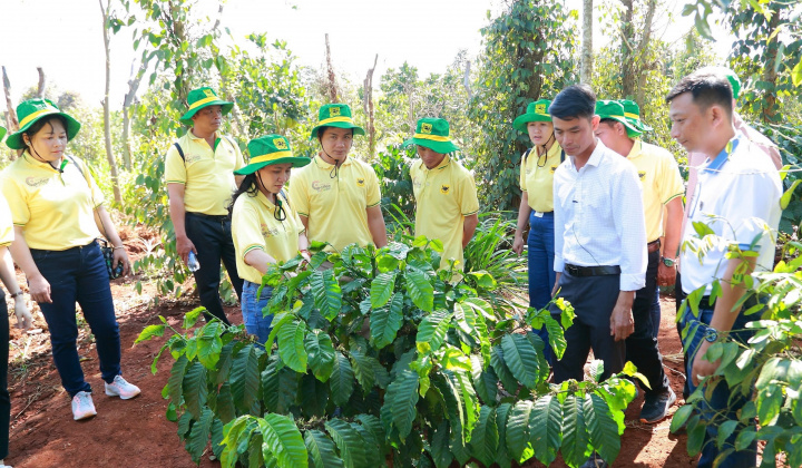 Hành trình mới cùng canh tác cà phê thông minh