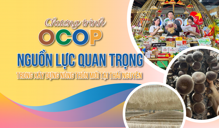 Chương trình OCOP: Nguồn lực quan trọng trong xây dựng nông thôn mới tại Thái Nguyên