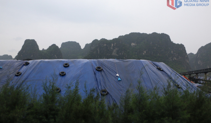 TKV triển khai công tác ứng phó bão số 9 (bão Ragasa)