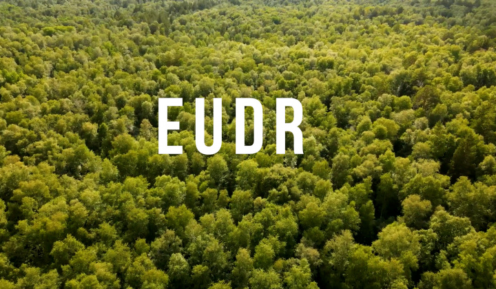 EU mâu thuẫn bởi EUDR - Tác động tới doanh nghiệp Việt Nam thế nào?