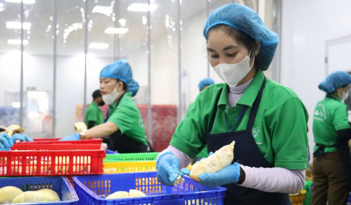 Việt Nam là đối tác thương mại lớn nhất của tỉnh Quảng Đông (Trung Quốc) trong khối ASEAN