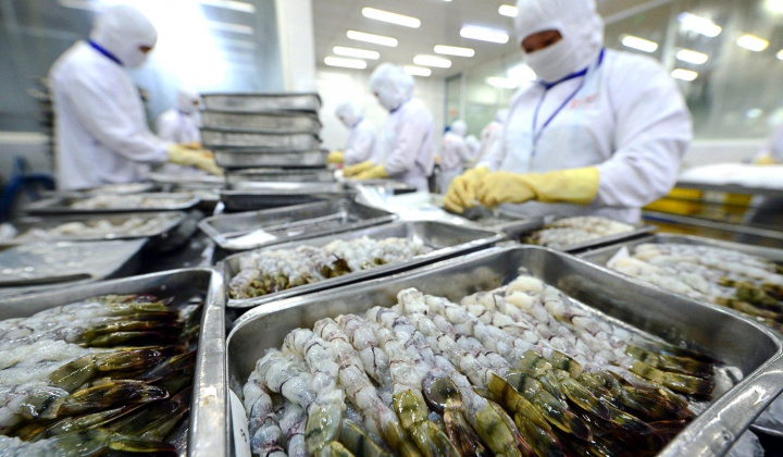 Thực phẩm Sao Ta (FMC): Doanh số tháng 8/2025 tăng 32%, đã đủ đơn hàng tới cuối năm