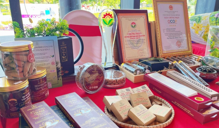 Thành phố Huế: Hỗ trợ doanh nghiệp nâng cao năng suất và chất lượng sản phẩm, hàng hóa