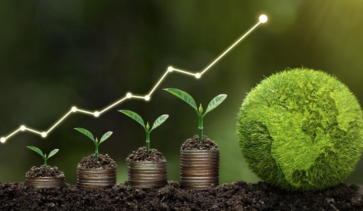 Phát triển bền vững kinh tế xanh: Kinh nghiệm quốc tế và bài học cho Việt Nam