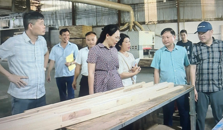 Thanh Hóa: Dấu ấn nổi bật từ Chương trình khuyến công quốc gia giai đoạn 2021-2025