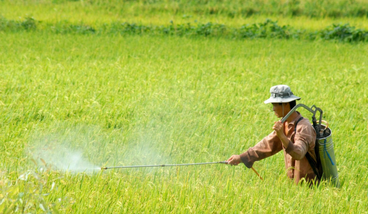 Quy định mới về điều kiện sản xuất, buôn bán thuốc bảo vệ thực vật