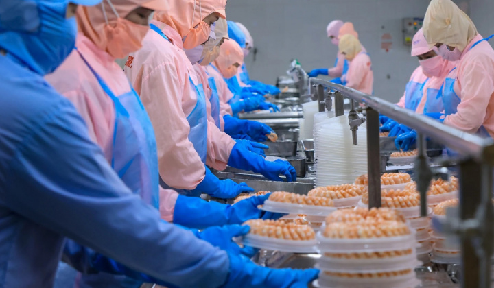 Vietnam’s shrimp exports to France: An analysis based on the gravity model