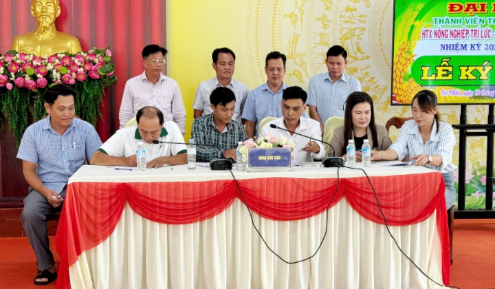 A An phát triển vùng lúa hữu cơ 63 ha theo tiêu chuẩn châu Âu tại Cà Mau