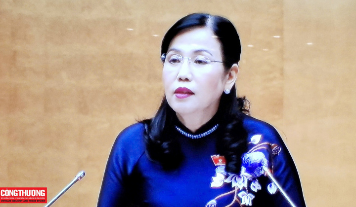 Ủy ban Khoa học, Công nghệ và Môi trường của Quốc hội: Dự án Luật sửa đổi, bổ sung một số điều của Luật Điện lực được chuẩn bị công phu