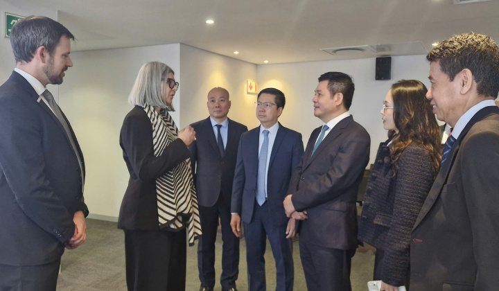 Việt Nam - Nam Phi: Mở rộng dư địa hợp tác kinh tế, thương mại và đầu tư
