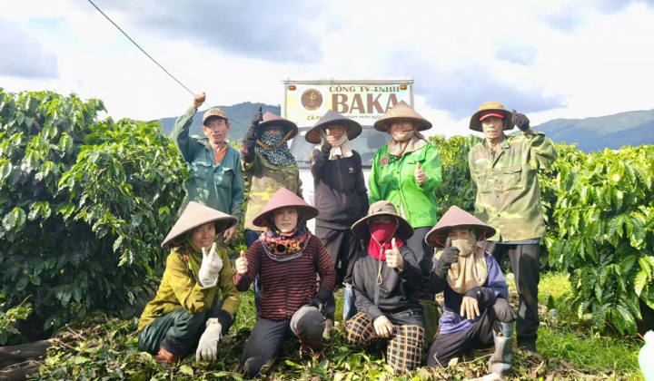 Công ty TNHH BAKA nâng giá trị cà phê Gia Lai bằng đổi mới sáng tạo và ứng dụng khoa học công nghệ
