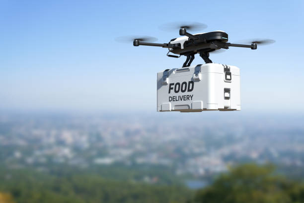 Exploring the diffusion and adoption of drone delivery services: A bibliometric analysis of Scopus and Web of Science