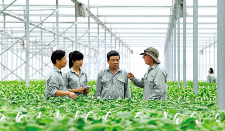 Phát triển bền vững hợp tác xã nông nghiệp ở Việt Nam: Lý luận và thực tiễn