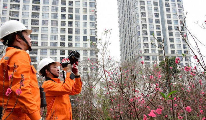 Sau Tết Nguyên đán Bính Ngọ 2026, EVN tăng tốc đảm bảo điện và dự án trọng điểm