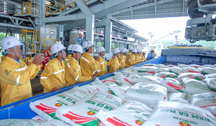 Đạm Cà Mau (DCM): Xuất khẩu lô hàng đầu tiên sang Hoa Kỳ, sản lượng xuất khẩu quý 1 tăng 25%