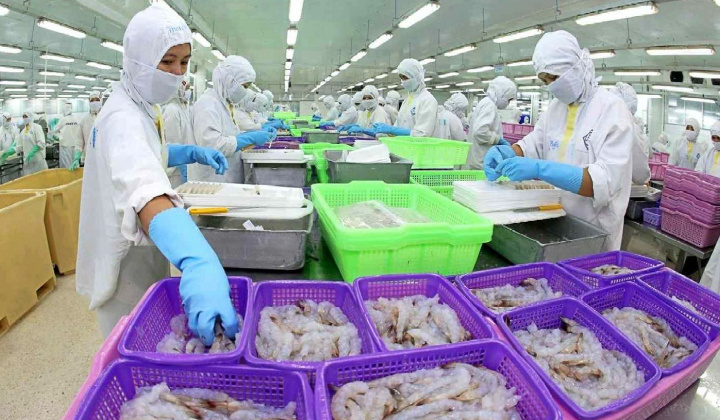 Thực phẩm Sao Ta (FMC): Đón tin vui đầu năm, lợi nhuận 2025 có thể điều chỉnh tăng gấp đôi