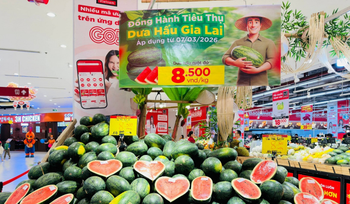 Central Retail Việt Nam triển khai chương trình hỗ trợ dưa hấu Gia Lai