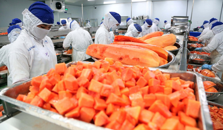 Lưu ý cho doanh nghiệp: Trung Quốc sửa Tiêu chuẩn an toàn thực phẩm quốc gia đối với thực phẩm chế biến