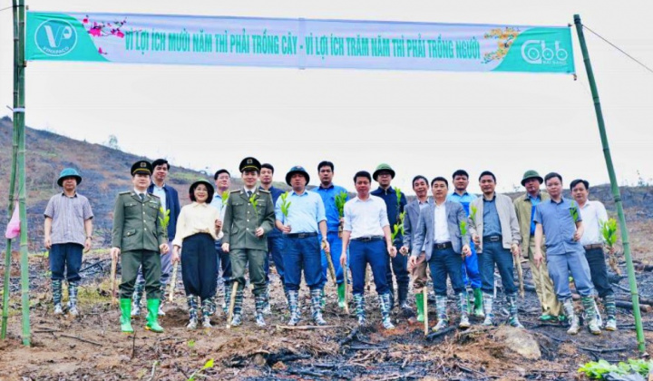 Tổng Công ty Giấy Việt Nam sôi nổi khí thế ra quân trồng cây đầu Xuân Bính Ngọ