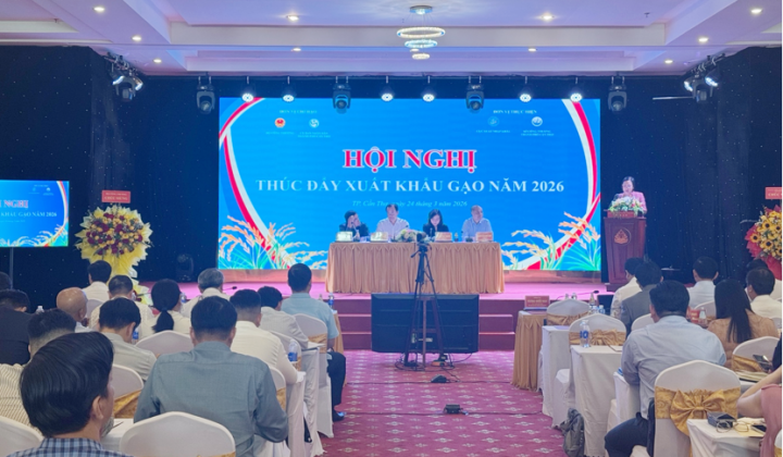 Tiếp tục bám sát diễn biến thị trường, linh hoạt trong điều hành và kinh doanh xuất khẩu gạo