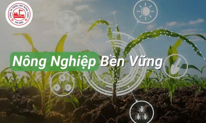 Lựa chọn Phân bón Văn Điển - Giải pháp cho nông nghiệp bền vững