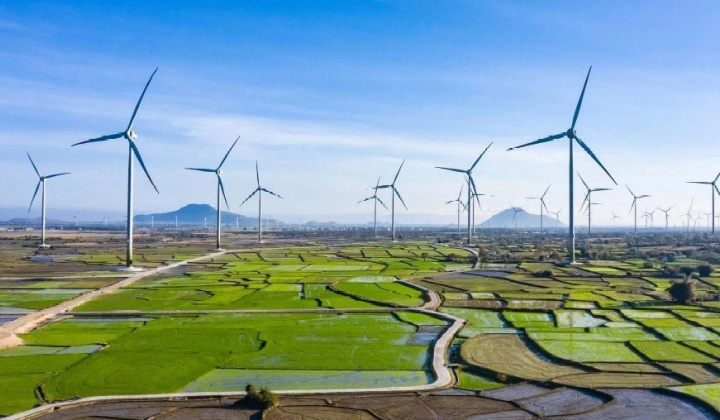 Cơ Điện Lạnh (REE) chốt mua dự án điện gió quy mô 9.100 tỷ đồng