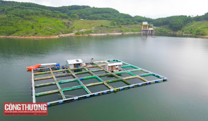 Đà Nẵng: Đến năm 2030, tất cả địa phương có công trình thủy điện có ít nhất 2 mô hình sinh kế hiệu quả cho người dân