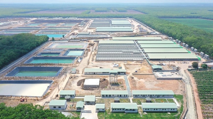 BAF Việt Nam (BAF): Kỳ vọng lãi năm nay tăng gấp 8 lần, sắp khơi công “siêu” dự án 12.000 tỷ