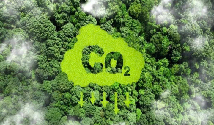 Quy định về trao đổi, chuyển giao kết quả giảm nhẹ phát thải khí nhà kính và tín chỉ các-bon áp dụng từ 19/5