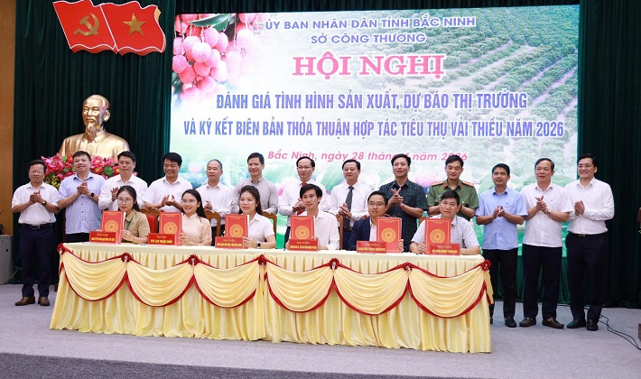 Bắc Ninh tăng tốc tiêu thụ vải thiều 2026, mở rộng xuất khẩu và phát triển du lịch trải nghiệm