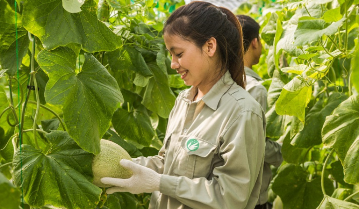 Đẩy mạnh chuyển đổi sản xuất nông nghiệp hàng hóa, phát triển nông nghiệp sinh thái, hiệu quả, bền vững
