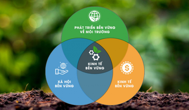 Phát triển thương mại bền vững trong bối cảnh kinh tế xanh và tiêu dùng có trách nhiệm