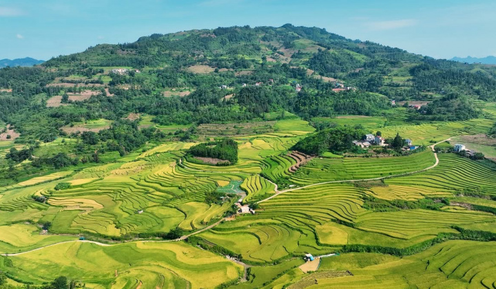 Quy chế hoạt động của BCĐ Trung ương Chương trình MTQG xây dựng nông thôn mới, giảm nghèo bền vững và phát triển KTXH vùng DTTS&MN