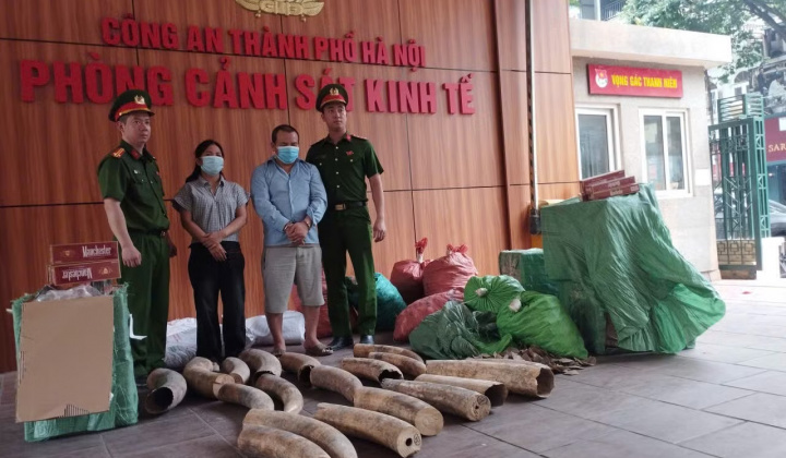Hà Nội: Phá đường dây buôn lậu ngà voi, lộ kho thuốc lá lậu khủng