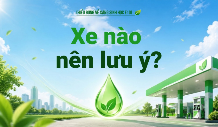 [Hiểu đúng về xăng E10] Xe nào nên lưu ý?