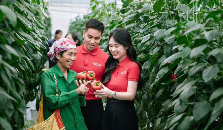 Các yếu tố ảnh hưởng đến khả năng tiếp cận tín dụng của các hộ sản xuất nông lâm nghiệp tại Ngân hàng Agribank Chi nhánh Đồng Hỷ, tỉnh Thái Nguyên (giai đoạn 2022 - 2024)