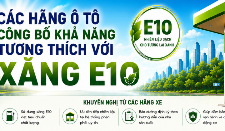Hàng loạt hãng ô tô khẳng định các dòng xe tại Việt Nam tương thích với xăng sinh học E10