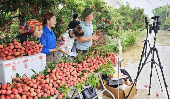Từ đồng vốn đến công nghệ số: Hệ sinh thái hỗ trợ nông dân ngày càng hoàn thiện