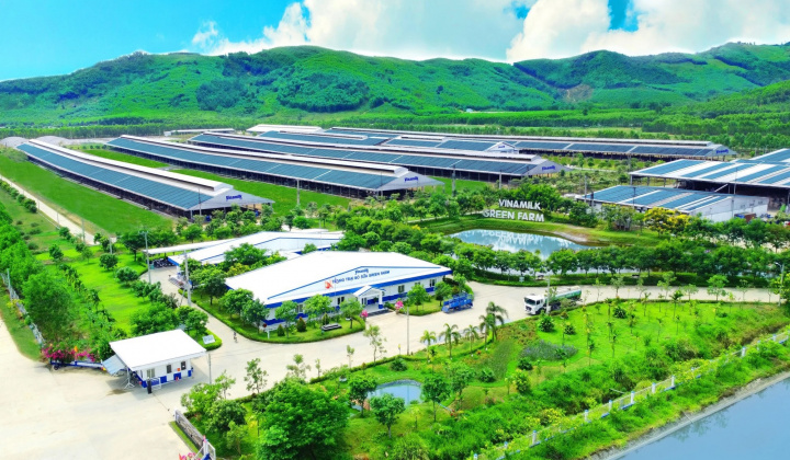 Sản xuất và tiêu dùng bền vững: Từ chính sách đến hành động