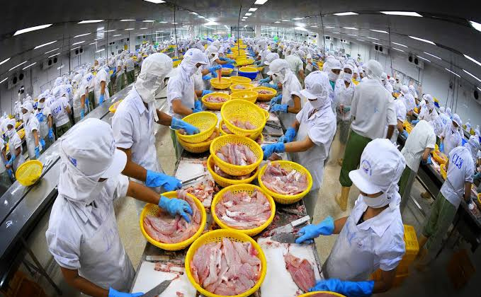 Tính giá thành sản phẩm dựa trên xác định hệ số chi phí và tỷ lệ thu hồi trong doanh nghiệp chế biến thủy sản