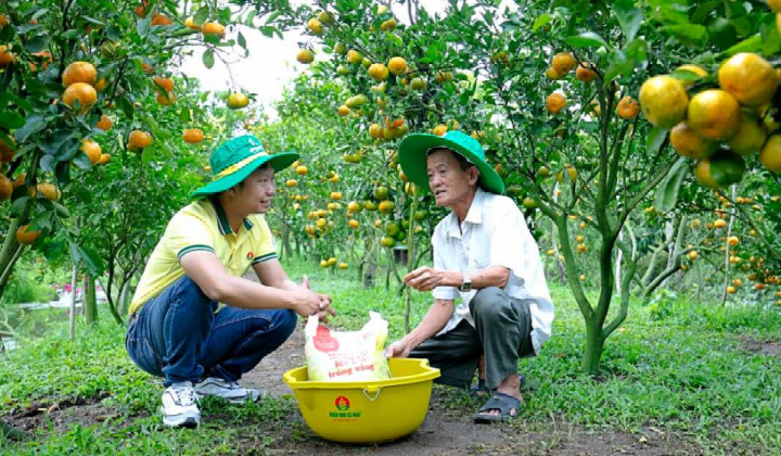Giá ure toàn cầu dự báo neo cao, Đạm Cà Mau (DCM) có thể lãi gấp đôi năm nay
