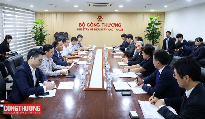Thứ trưởng Nguyễn Hoàng Long làm việc với  các doanh nghiệp Nhật Bản về LNG