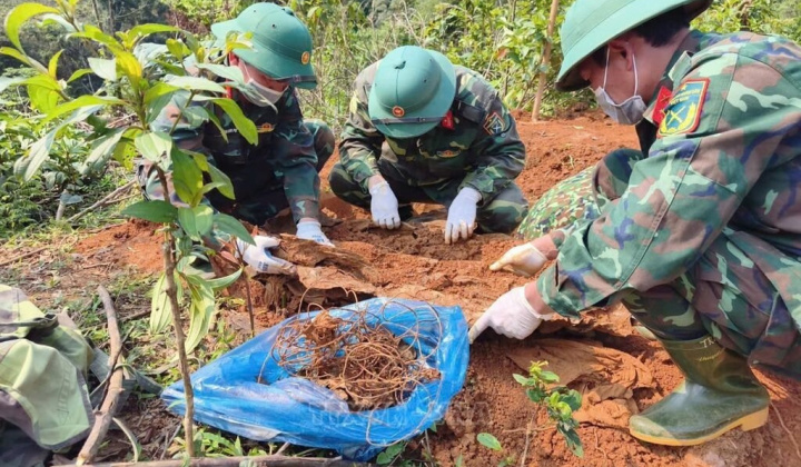 Quyết liệt triển khai công tác tìm kiếm, quy tập và xác định danh tính hài cốt liệt sĩ