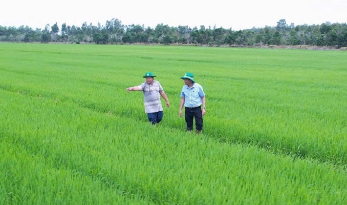Làm giàu nhờ đổi mới tư duy trên vùng đất phèn