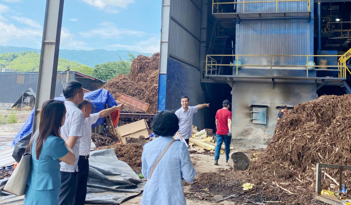 Đòn bẩy khuyến công quốc gia: Chắp cánh cho ngành chế biến lâm sản Thanh Hóa bứt phá