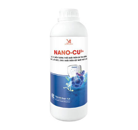 Đặc trưng hóa lý của nanocompozit CuI/Cu2+–TiO2
