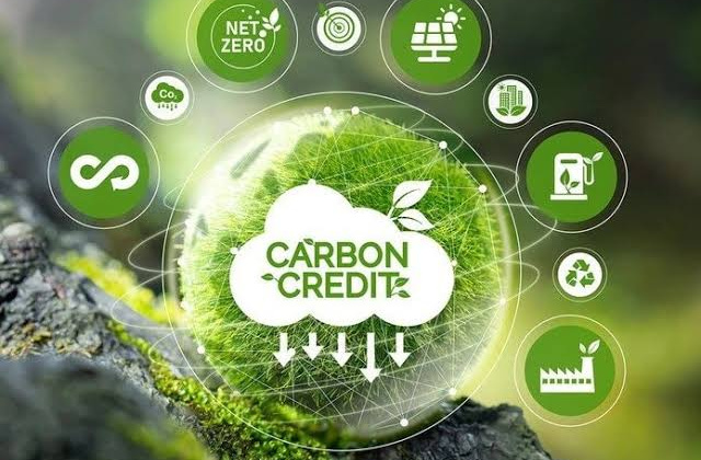 Tín dụng carbon và cơ hội kinh doanh mới cho ngân hàng thương mại